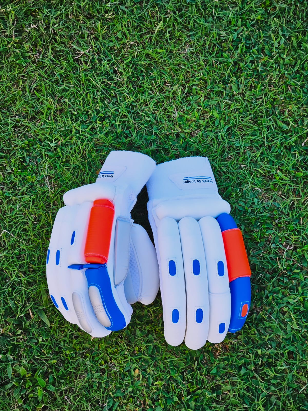 BATTING GLOVES